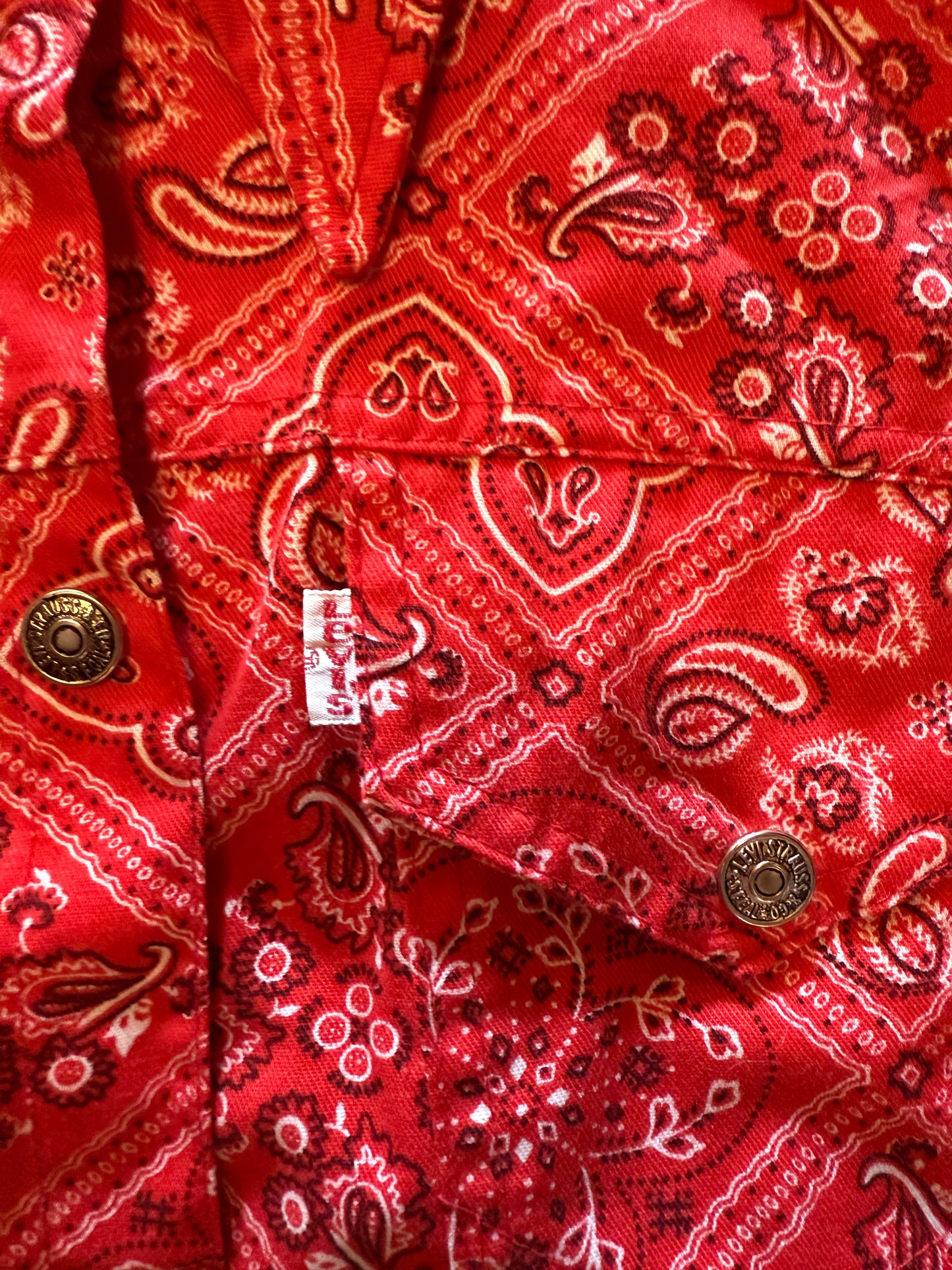 Vintage Levi's Bandana Jacket (NL)