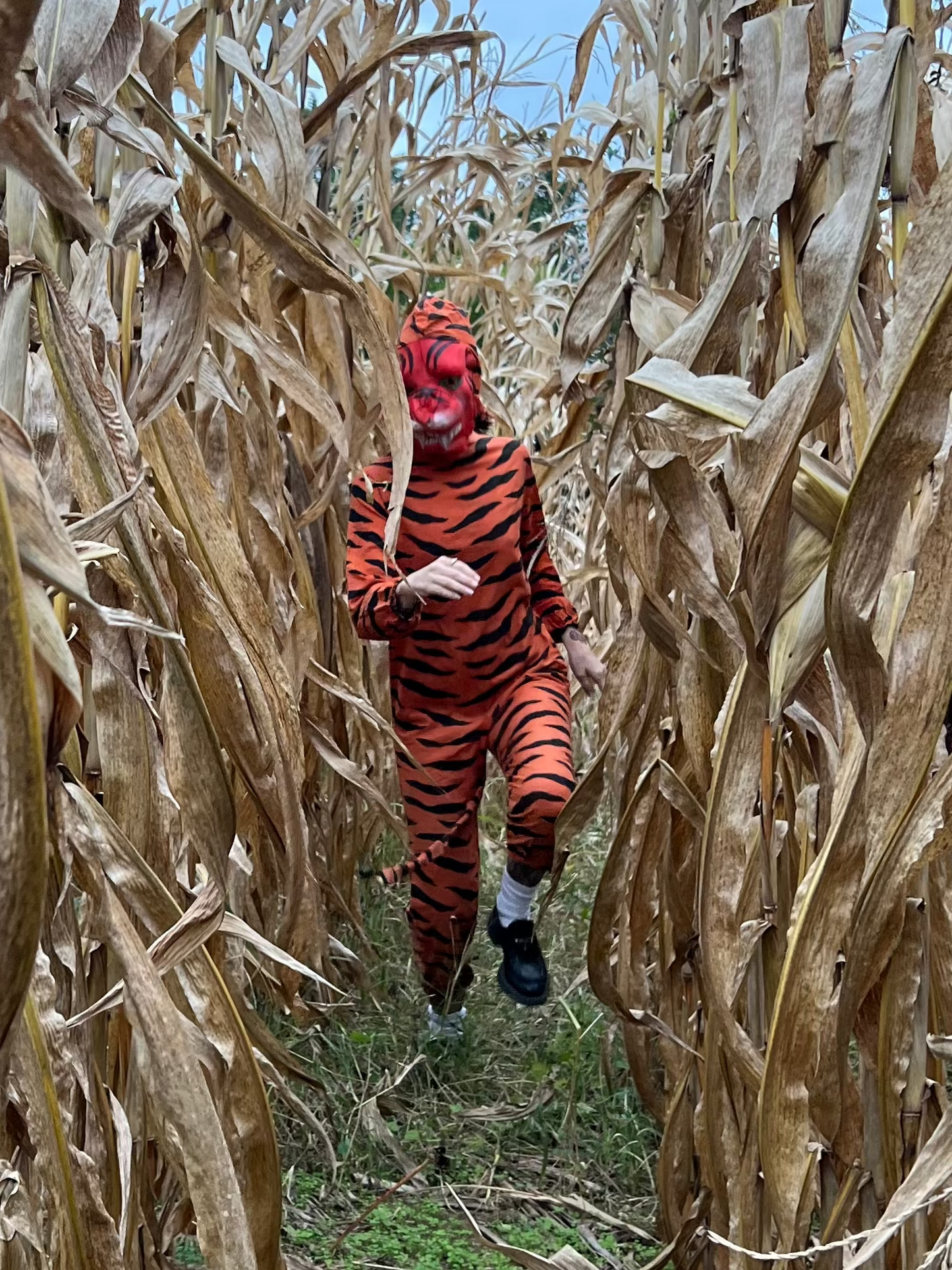 Antique Tiger Costume (JM)