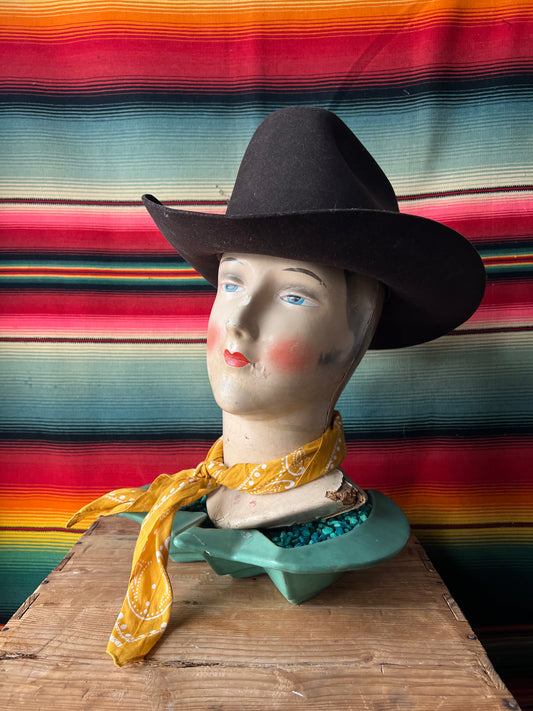 Brown Dynafelt Hat