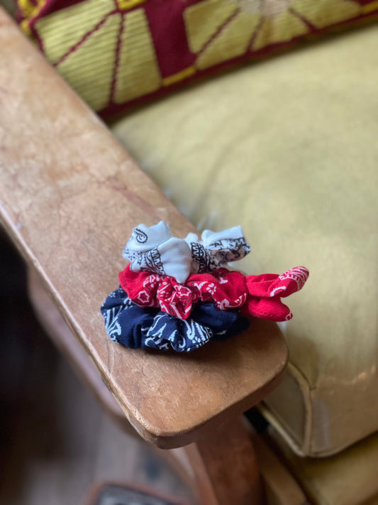 Assorted $5 Scrunchies