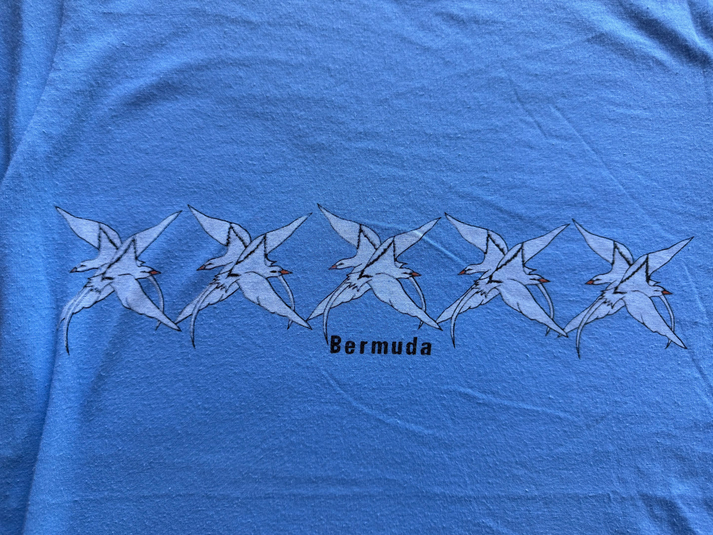 Vintage Bermuda Tee (NL)