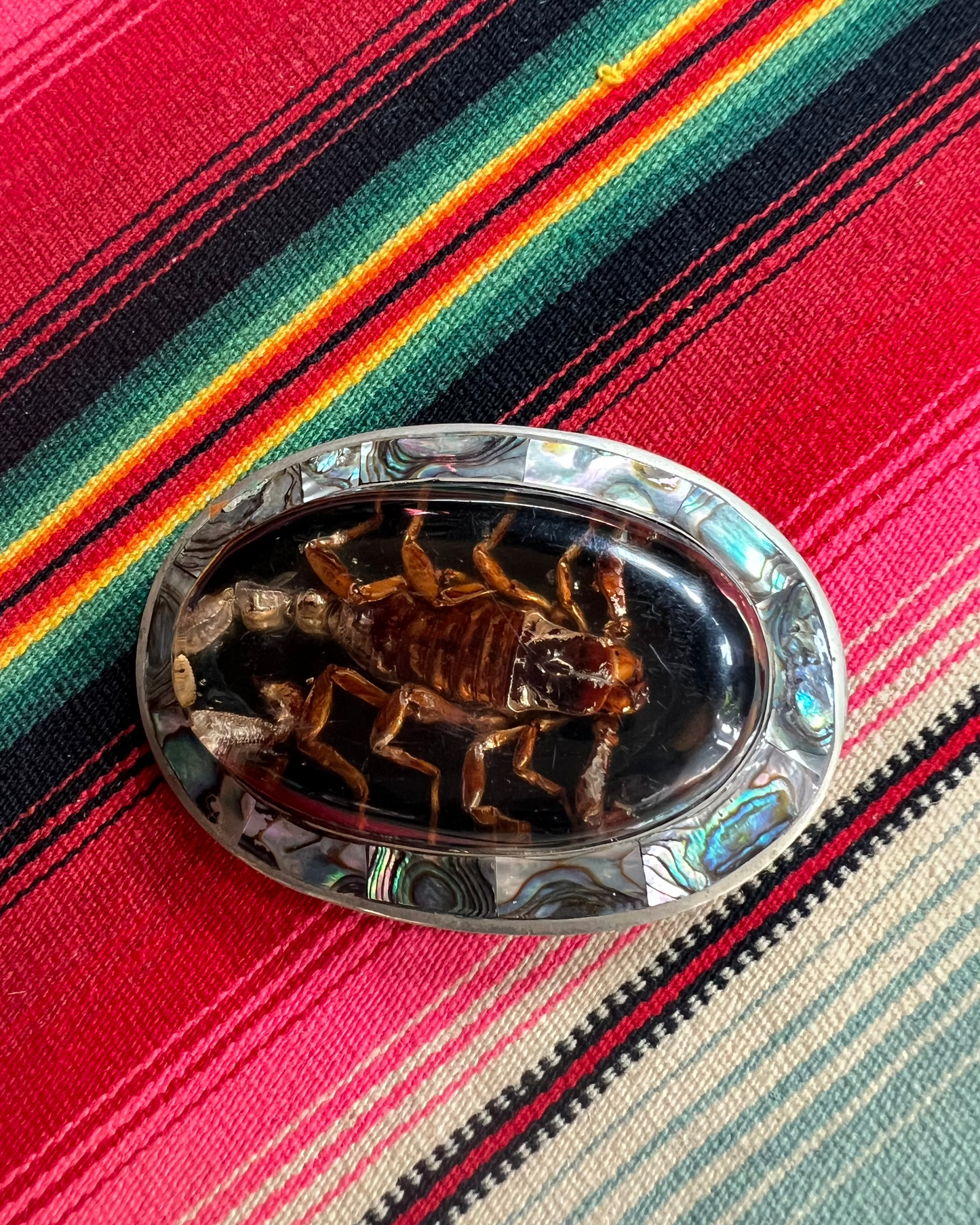 Abalone and Scorpion Belt Buckle